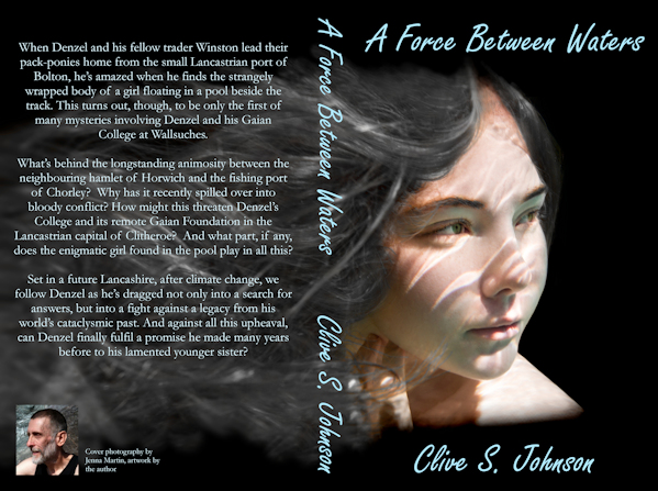 A Force Between Waters paperback cover image